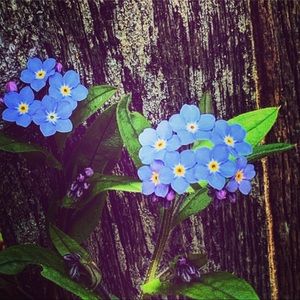 Meet your Posher, Ursula